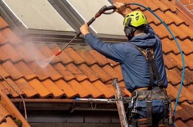 Démoussage et hydrofuge de toiture à Nouaille